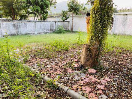 รูป ขายบ้านเดี่ยว 2 หมู่บ้านธาดาทาวนน์(ซ.15) ถนนค่ายลูกเสือ-ห้วยยายพรหม ต.บางพระ อ.ศรีราชา ชลบุรี 20110 3