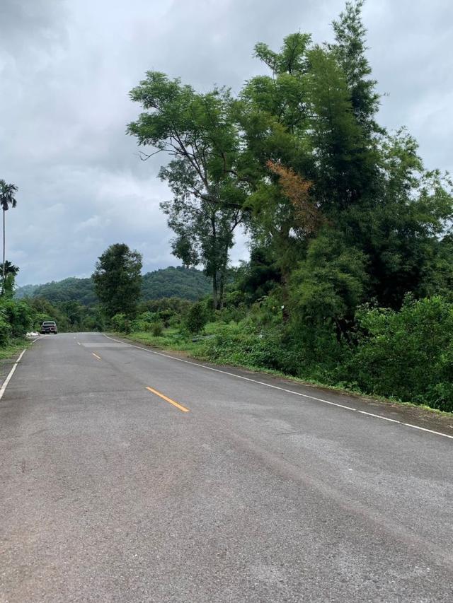 ขายที่ดินสวย 16 ไร่ 1 งาน 71 ตร.วา วิวเขาใหญ่ ติดถนนสาธารณะ คลองมะเดื่อ นครนายก ใกล้น้ำตกสาริกา 6