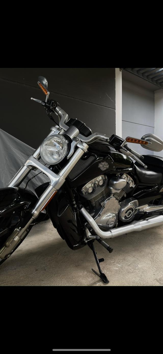 Harley Davidson VRod muscle 2012