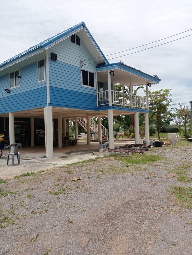 บ้านพร้อมที่ดิน1ไร่อยู่โพธารามสนใจติดต่อมล081-5273490 1