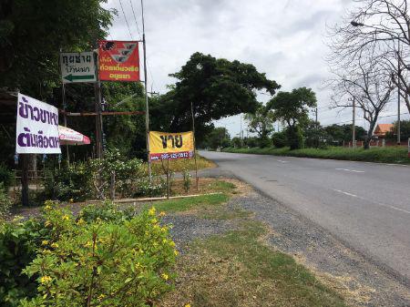 รูป ขาย ที่ดิน ขายที่ดินเปล่า ถมแล้วบางส่วน (ให้เช่าขายก๋วยเตี๋ยว)ที่ดิน 2 งาน 94 ตร.วา 3