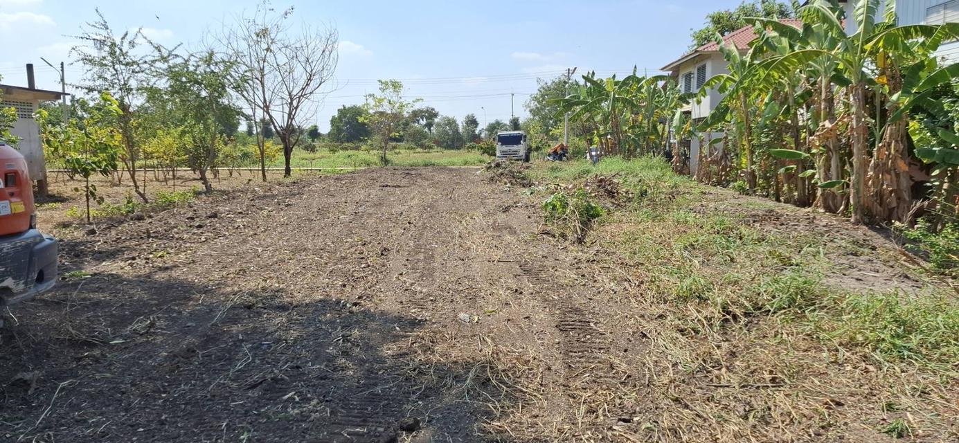 ขายที่ดินติดแม่น้ำเจ้าพระยา ทำเลดี 9