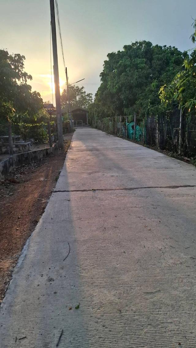 ขายที่ดินพร้อมบ้าน อ.เมือง จ.ลำพูน 2