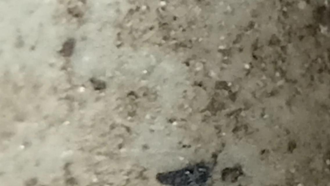 พระสมเด็จวัดเกศใชโยพิมพ์เก้าชั้น รูปที่ 12