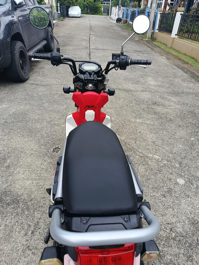 Zoomer -x  7