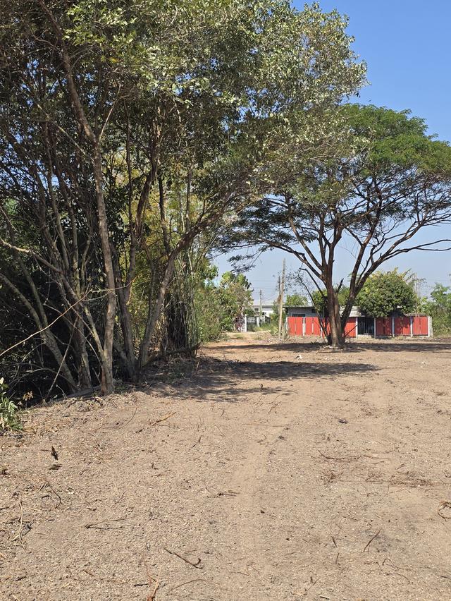 ที่ดินเปล่าถมแล้ว 7 ไร่ ใกล้กรุงเทพ ที่ดินสวย บรรยากาศดี มีทุ่งนา โฉนดครุฑแดง อ.เมือง ต.วังตะเคียน จ.ฉะเชิงเทรา 6