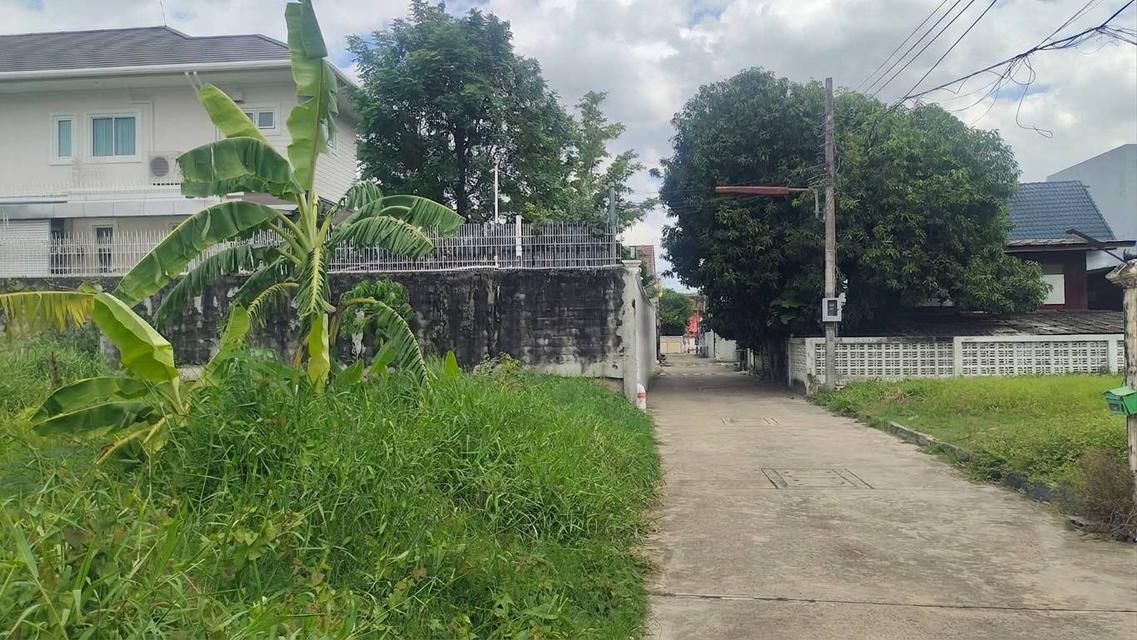 ขาย ที่ดินตลิ่งชัน ใกล้ ถ.บรมราชชนนี (200ตร.ว.) ซอย ฉิมพลี8 ต.ฉิมพลี อ.ตลิ่งชัน จ.กรุงเทพฯ 15,000,000 บาท 7