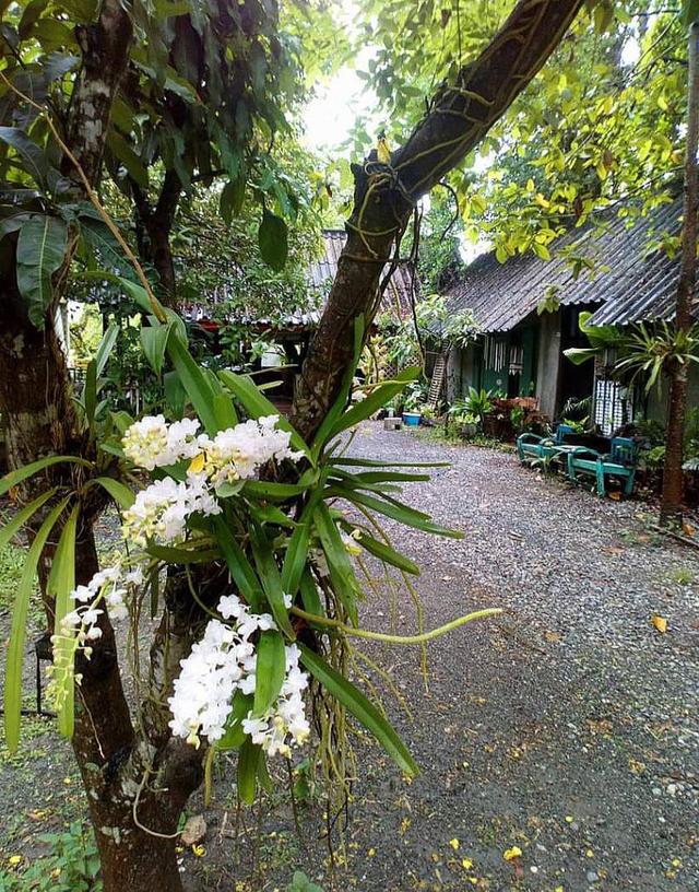 ที่ดินพร้อมบ้านเชียงใหม่ 7