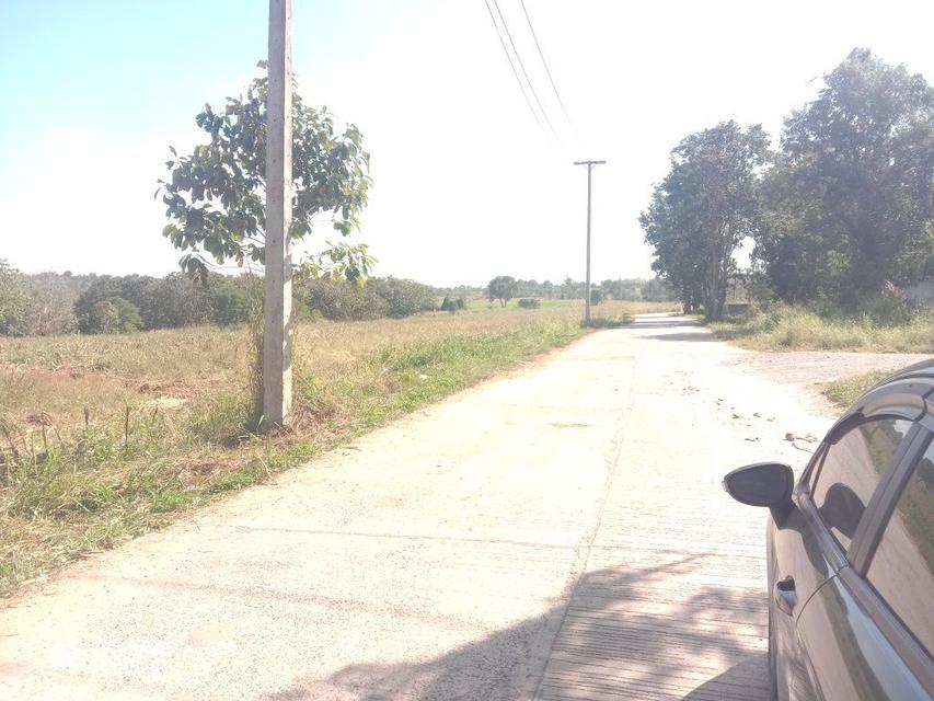 20 ไร่ ที่ดิน ด้านหลัง อำเภอ วังน้ำเขียว ขายยกแปลง 3