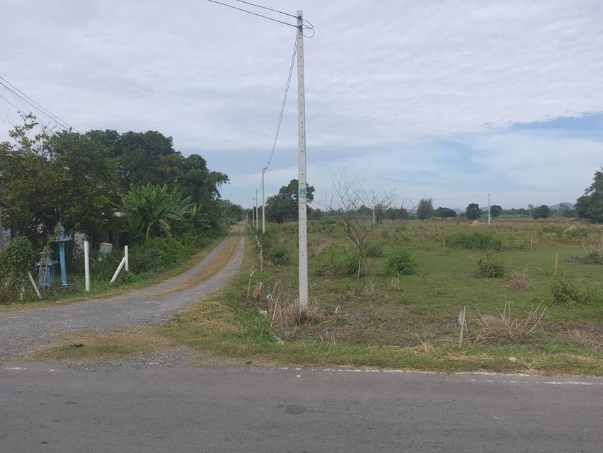 ที่ดิน ราคาถูก ๆราคานี้ หาไม่ได้เเล้ว  โฉนดครุฑเเดง 6