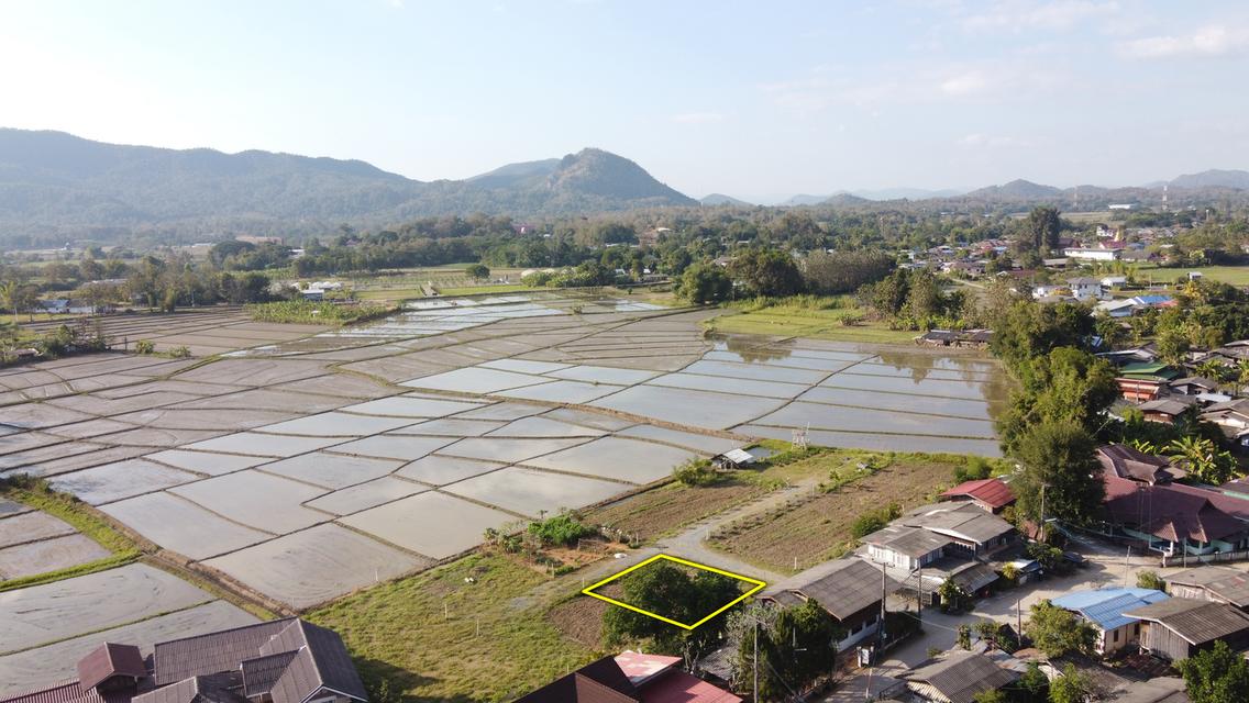 ขายที่ดิน 55 ตร.ว. วิวดอยสวย น้ำไฟดึงได้ไม่ไกล อ.แม่ออน 1