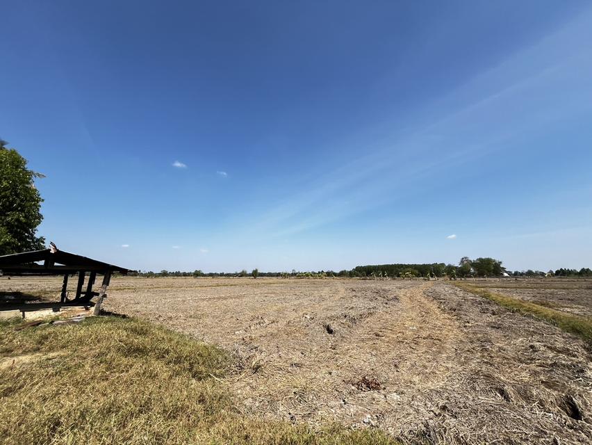 ขายที่นา ไม่ไกลจากตัวเมืองขอนแก่น 4