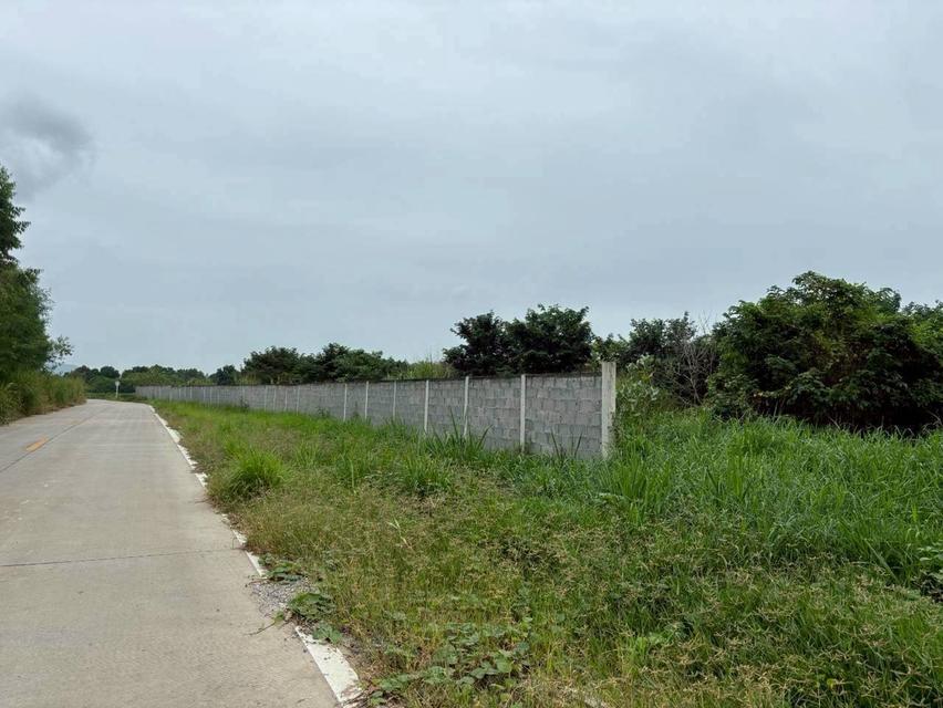 ขายที่ดิน บ้านบึง ชลบุรี 5 ไร่ 1 งาน 46 ตร.ว. ทำเลดี เหมาะลงทุน 5