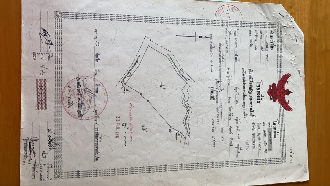 ต้องการขายที่ดิน 23 ไร่ 1