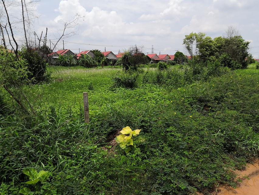 ที่ดินเปล่า 110 ตารางวา ถ.เลียบวารี ซอย วารี31 4