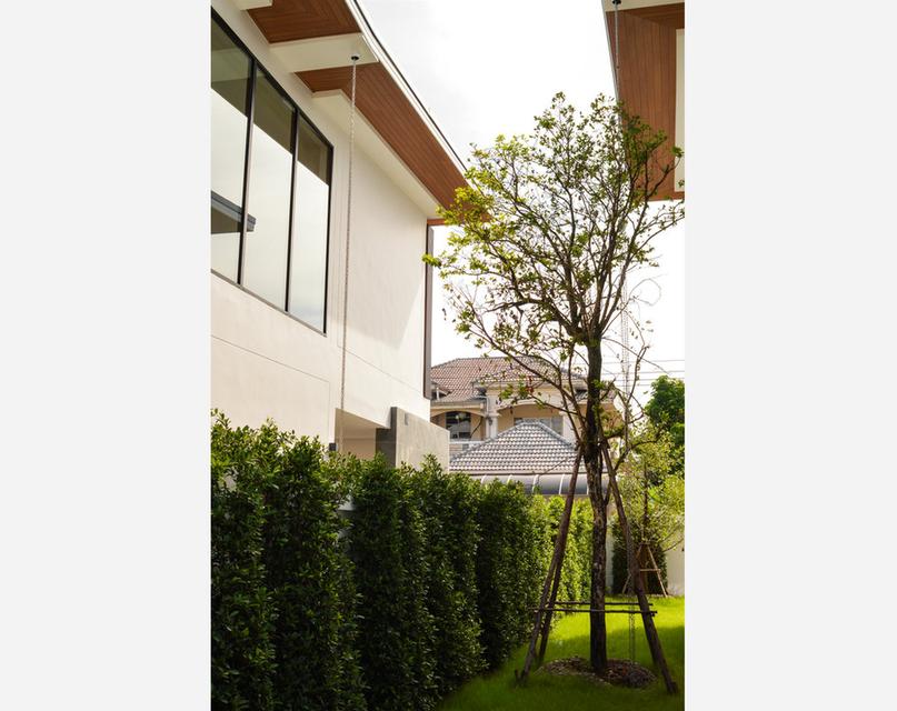 EDEN ศรีนครินทร์-สวนหลวง บ้านเดี่ยวสไตล์ Modern Tropical พร้อมสวน Courtyard ขนาดใหญ่ใจกลางบ้าน 12