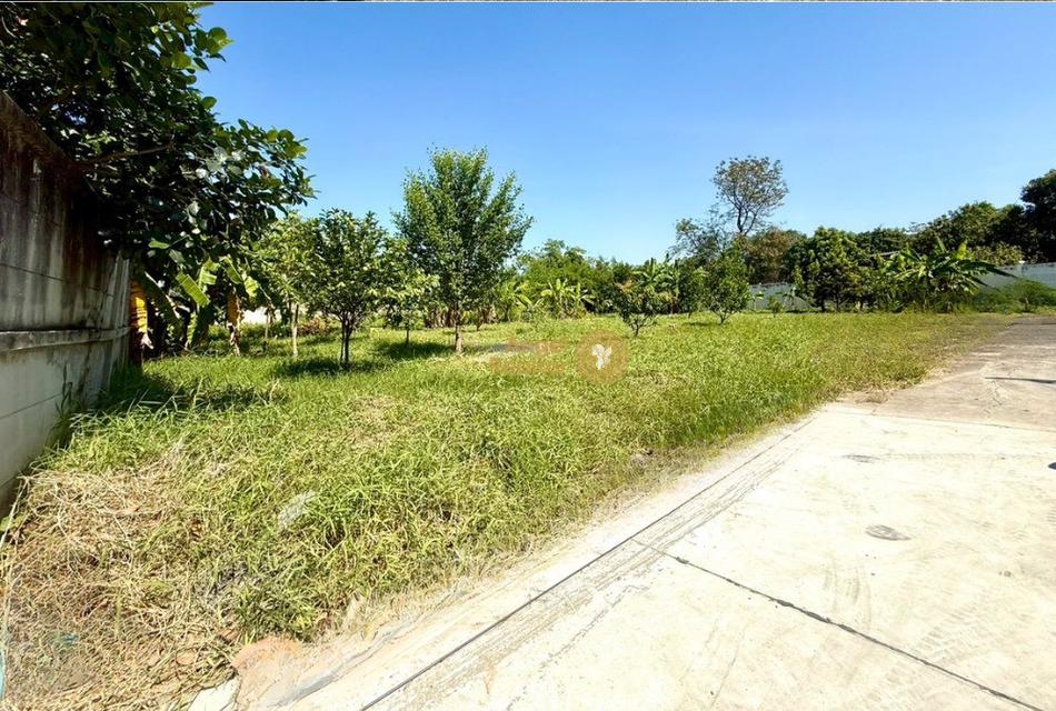 ที่ดินแปลงสวย ถมแล้ว 250 ตรว. มบ.แสนสบาย ติด ถ.พระเทพฯ ตัดใหม่ 6