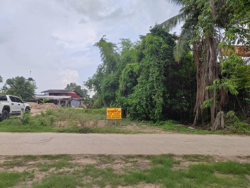 ขายที่ดินเปล่า ติดถนน ทำเลดี อำเภอโพทะเล​ จังหวัดพิจิตร​ 3