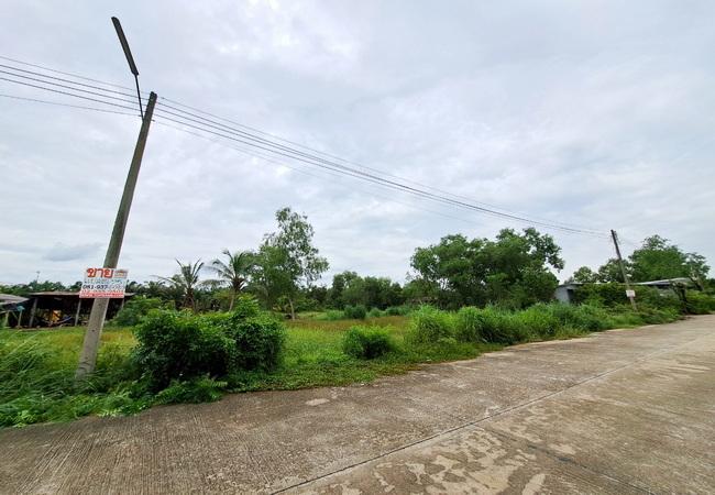 ขายที่ดิน ธัญบุรี คลอง 13 หมู่บ้านสมหวังการ์เด้น เนื้อที่ 75.70 ตร.ว. ถนนคอนกรีต  2