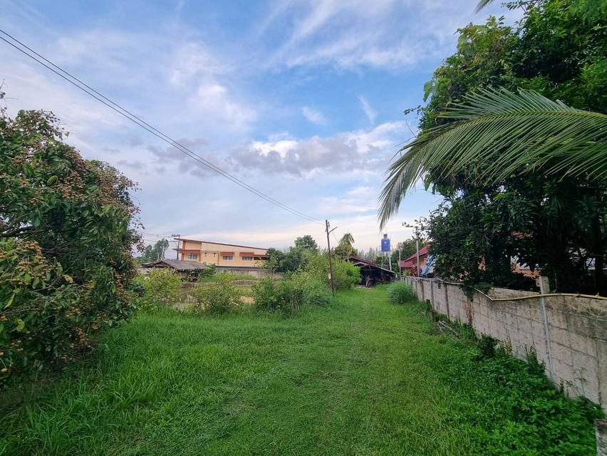 ขายที่ดิน 635 ตรว. พร้อมบ้านสวน และบ่อปลา 5