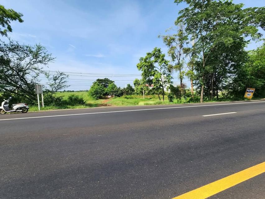 ขายที่ดินติดถนนราชสีมา เดชอุดม หมายเลข 24 ติดโรงงานเบทาโกร สาขาหนองบุญมาก อำเภอหนองบุญมากจังหวัดนครราชสีมา  3