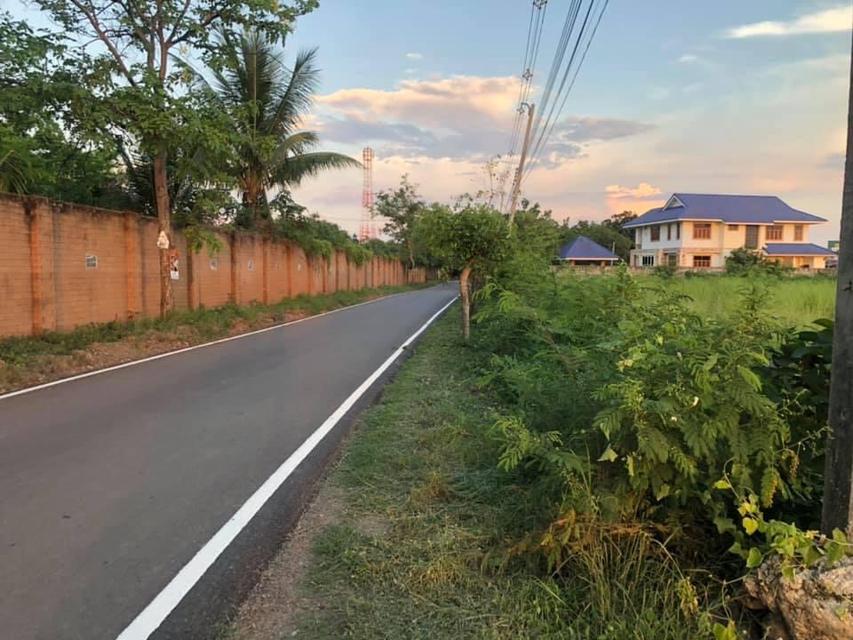ขายที่ดินเปล่า วิเชียรบุรี 3