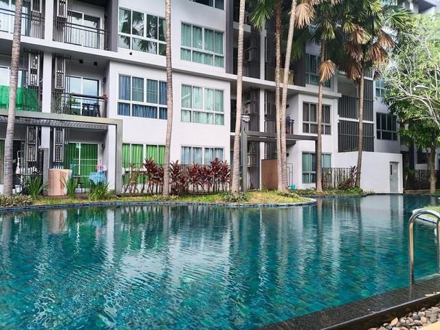 คอนโดให้เช่า เนทูเรซ่า คอนโด พิกัดพัทยาเหนือติดถนนสุขุมวิท 1