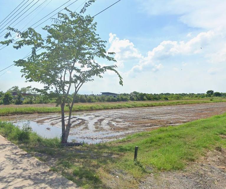 ขายที่ดินท่าไข่ 8 ไร่ ติดถนนคอนกรีต ใกล้ถนนวงแหวนเส้นตัดใหม่เส้น304(แยกสตาร์ไลท์-4กม.) อ.เมืองฉะเชิงเทรา 3