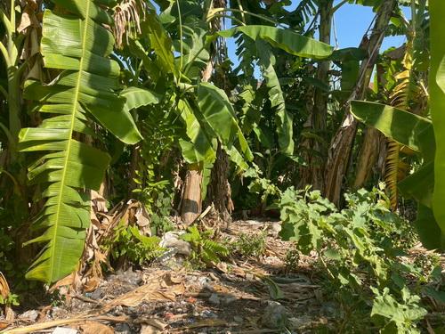 ขายที่ดินเปล่า 119 ตร.ว.ซอยคลองหลวง33 ต.คลองหนึ่ง อ.คลองหลวง จ.ปทุมธานี 12