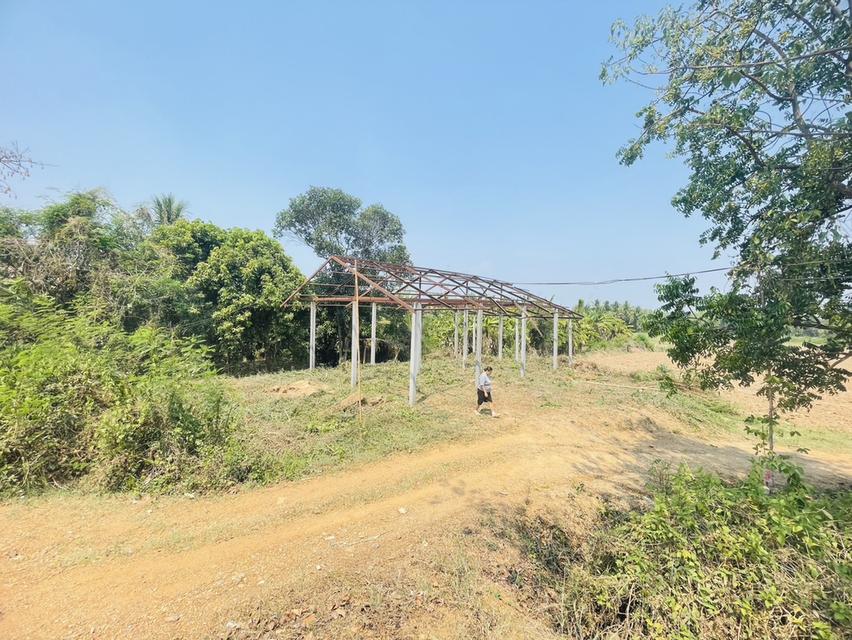 ขายถูกที่สุด ที่ดิน108ตรว.พร้อมโครงสร้างเสา15ต้น 4