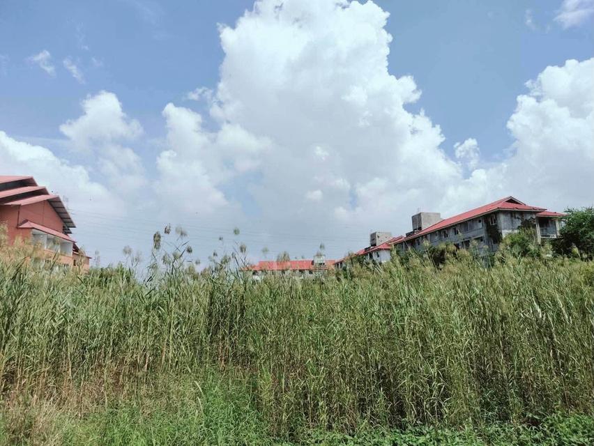 ขายที่ดินใกล้ตลาดสดบางพลี 848 ตรว ติดถนนคอนกรีตสาธารณะ ซ.ส.มณีรัตน์ อ.บางพลี จ.สมุทรปราการ 1