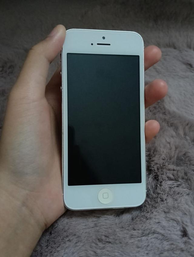 พร้อมขาย Iphone 5 3