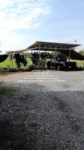 บ้าน ขายที่ดินติดถนน มีบ้านสวนผลไม้ มีบ่อปลา และมีโกดังเก็บของ พร้อมโรงจอดรถ 1-3-79 ไร่ ต.บึงน้ำรักษ์ อ.บางน้ำเปรี้ยว จ. 3