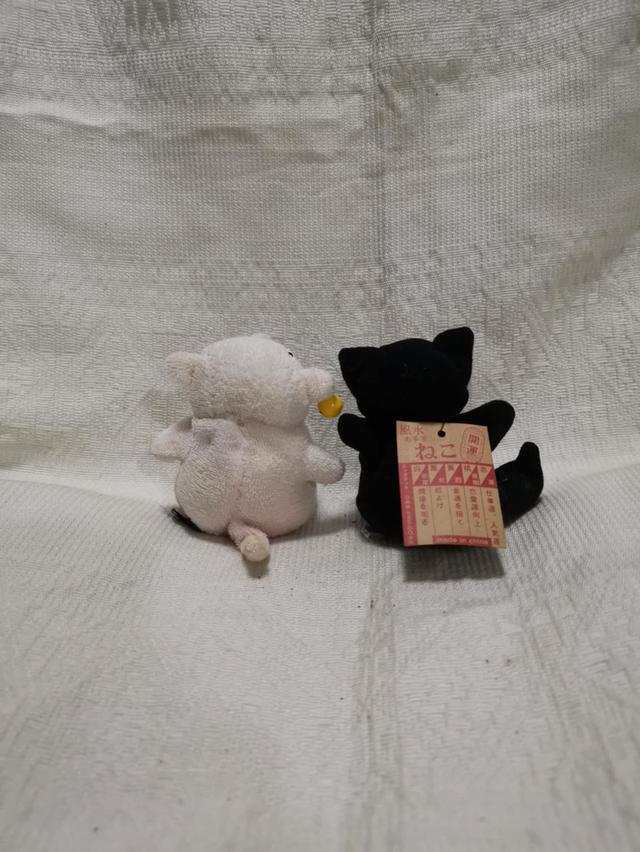 cute doll piggy and cat black  2