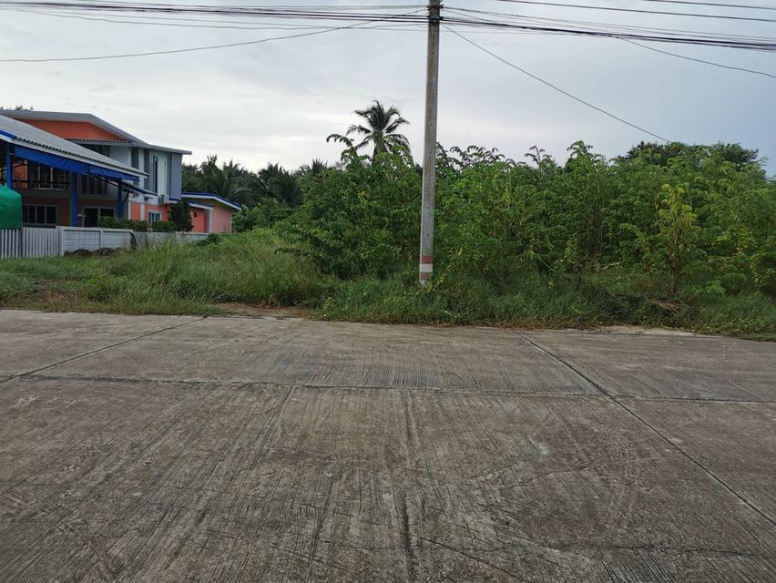 ขายที่ดิน240ตารางวากว้าง24เมตรลึก40เ 5