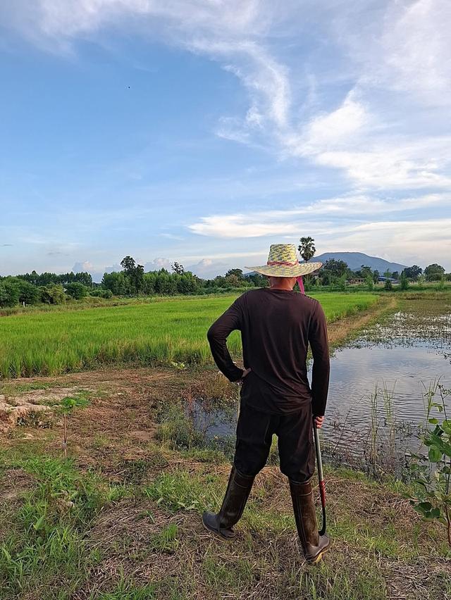 ขายโคกหนองนา 10 ไร่ เหมาะสำหรับเป็นที่พักอาศัย ทำเกษตรพอเพียง 6