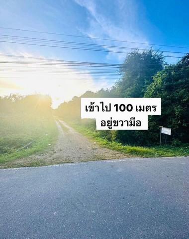 ขายด่วน ที่ดินสวนยางแปลงใหญ่ ใกล้สนามบินหาดใหญ่ ต.ควนลัง อ.หาดใหญ่ จ.สงขลา 6