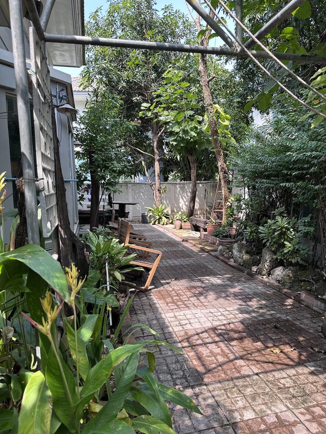 ให้เช่าบ้านพฤกษ์ลดา2  ถนนไสวประชาราษฏร์ ต.ลาดสวาย อ.ลำลูกกาคลอง4 จ.ปทุมธานี 17