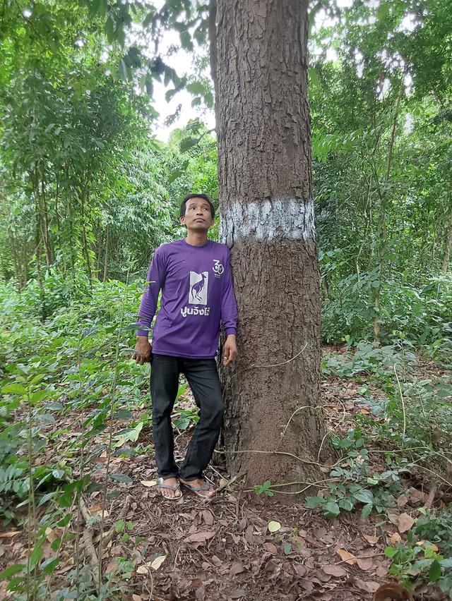 ต้องการขายที่ดิน จำนวน 15.1.58 จังหวัดราชบุรี อำเภอปากท่อ บรรยากาศดีใกล้แหล่งความเจริญ น้ำไฟพร้อม 9