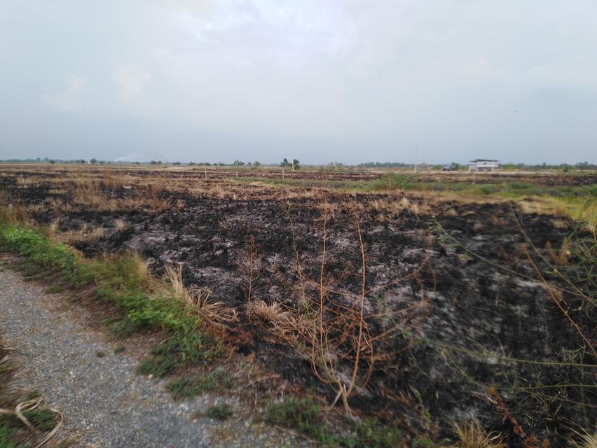 ที่ดินนครนายก อ.บ้านนา.ต.บางอ้อ 3