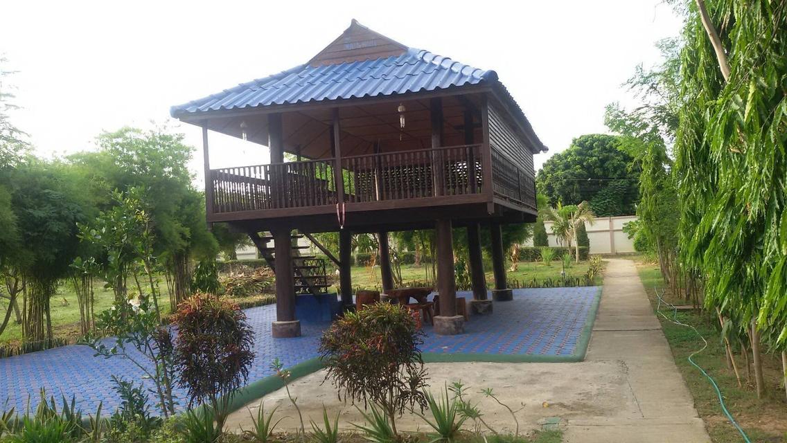 ขายบ้านและที่ดิน 3-0-76 ไร่ ต.ขี้เหล็ก อ.แม่ริม จ.เชียงใหม่ 11