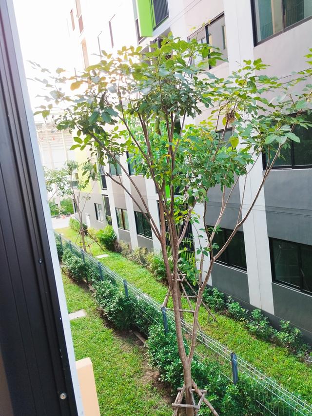 āļāļēāļĒāļāļāļāđāļ V condo āļāļēāļāļāļē-āļāļēāļāļāđāļ āļŦāđāļāļāđāļĨāļāļāļĩāđ 893/28 āļāļķāļ B āļāļąāđāļ 2 āļ§āļīāļ§āļŠāļ§āļ 16