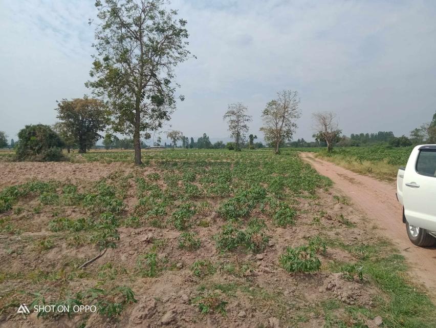 ที่ดินเหมาะสำหรับทำการเกษตรและบ้านพักอาศัยเศรษฐกิจพอเพียง 4