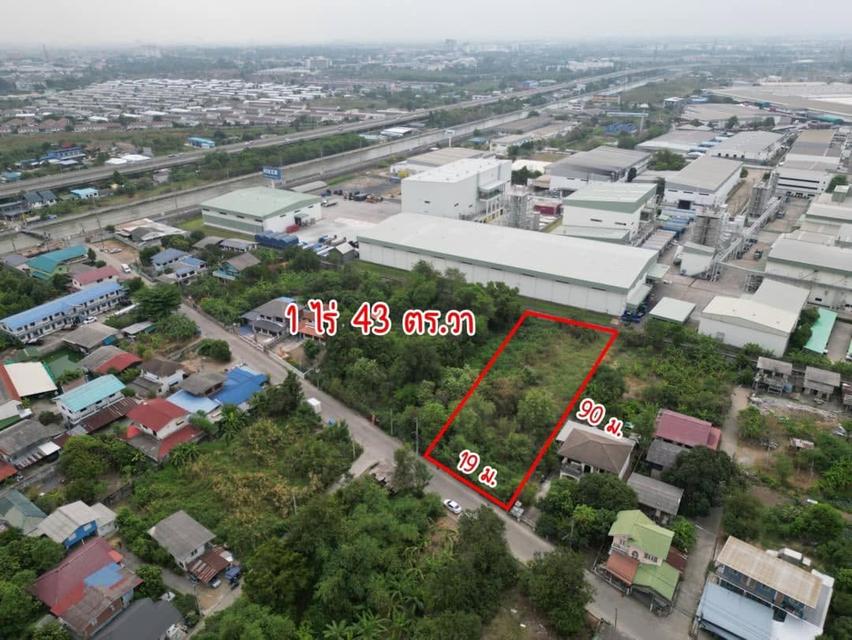 L893 ขายที่ดิน 443 ตรว ผังสีม่วง ใกล้นิคมอุตสาหกรรมบางกะดี บางพูน ปทุมธานี 5