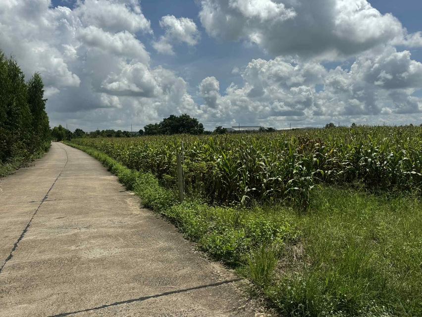 ขายที่ดินสีม่วงหัวหว้าหลังนิคมโรจนะ 23 ไร่ หลังรง.ฮอนด้า ใกล้ถนน304-3กม. อ.ศรีมหาโพธิ ปราจีนบุรี 5