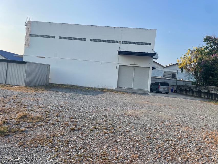 ขายที่ดินพร้อมอาคารพาณิชย์ 3