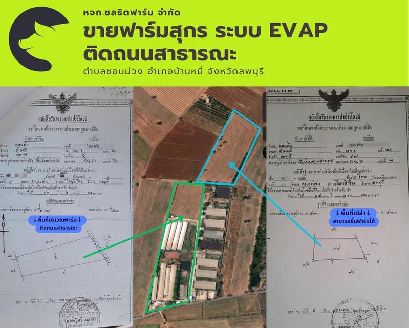 รูป ฟาร์มหมู ระบบ Evap 3