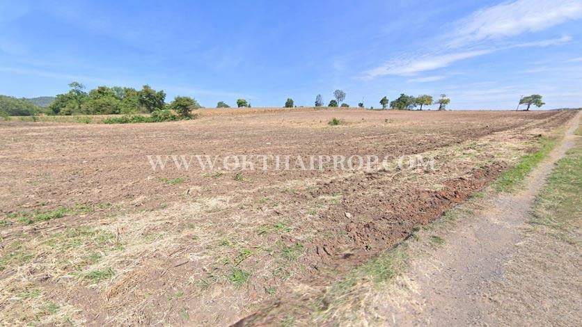 ที่ดินติดถนน ต.ดอนดึง อ.บ้านหมี่ จ.ลพบุรี 9