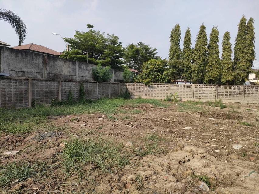 ให้เช่าที่ดินเปล่าถมแล้วในถนนมัยลาภ กรุงเทพมหานคร 11