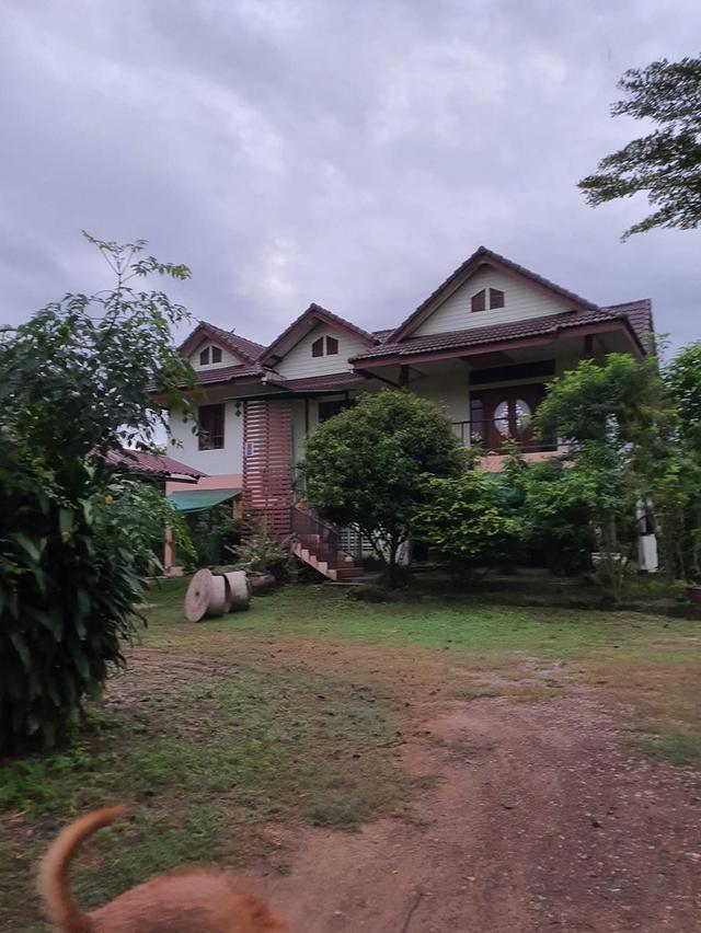 บ้าน2 ชั้น 3ห้องนอน 2ห้องน้ำ พื้นที่ใช้สอย 260 ตรม. พร้อมที่ดิาปลูกผลไม้รอบบ้าน 1 ไร่ 1